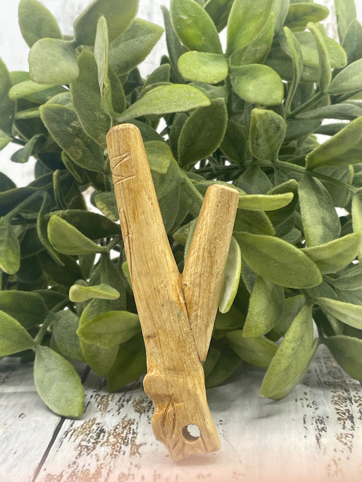 Jaguar Palo Santo Kuripe