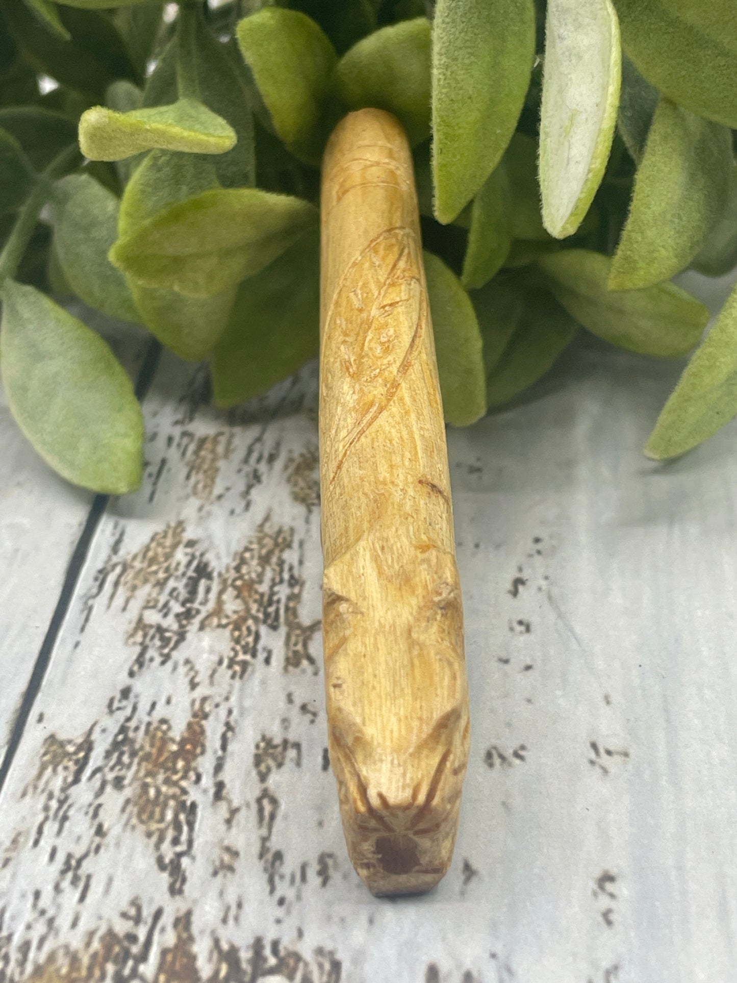 Jaguar Palo Santo Kuripe