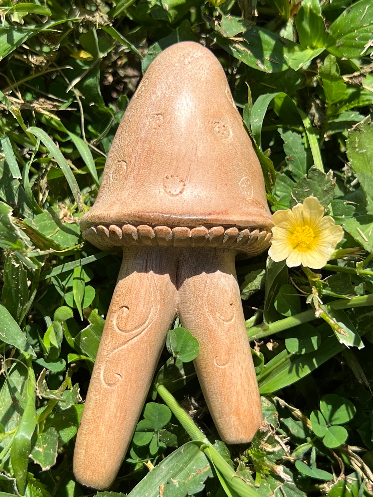 Hand Carved Mushroom Kuripe