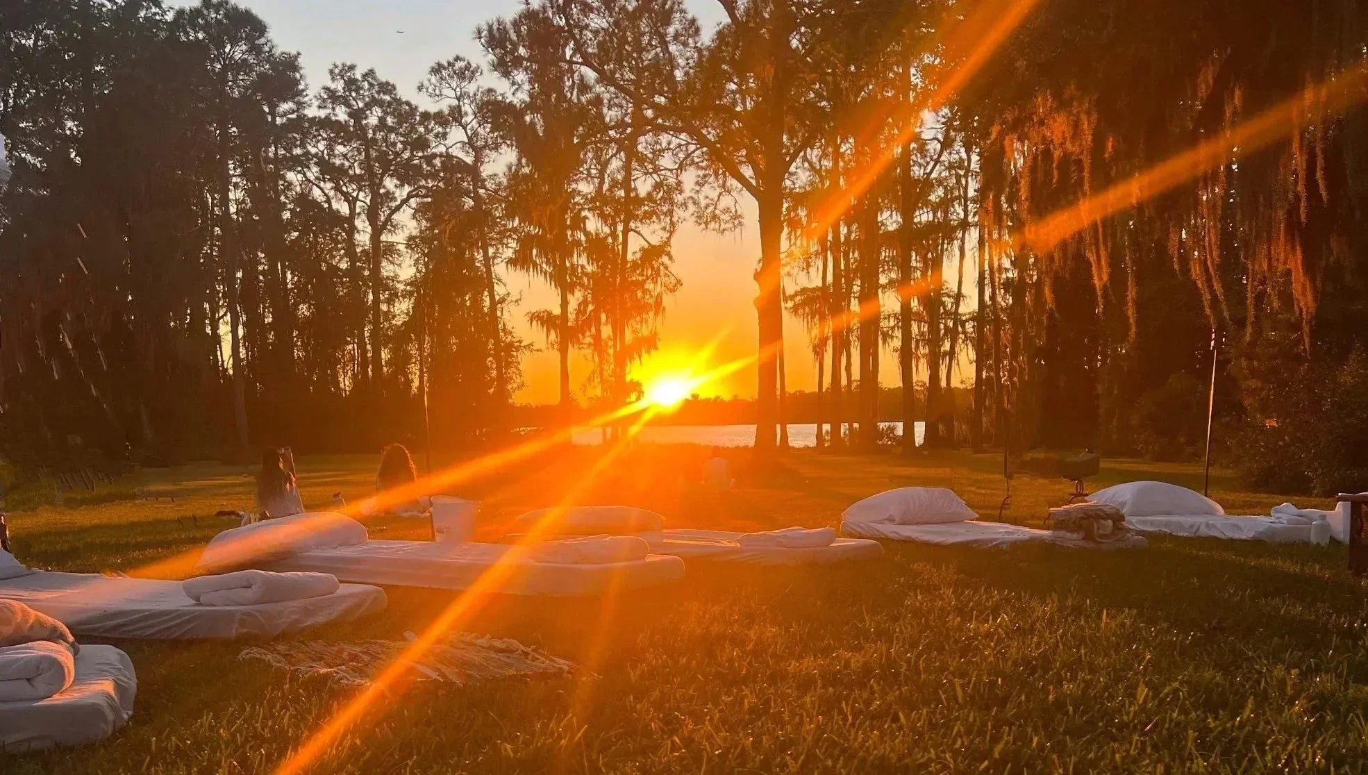 Artistry and Allies - Katukina.US