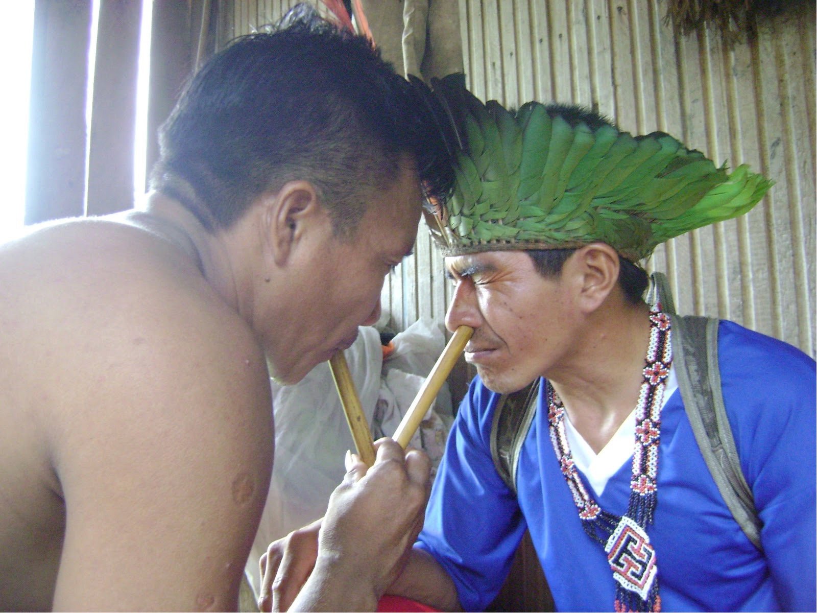 Katukina Tribe - Katukina.US