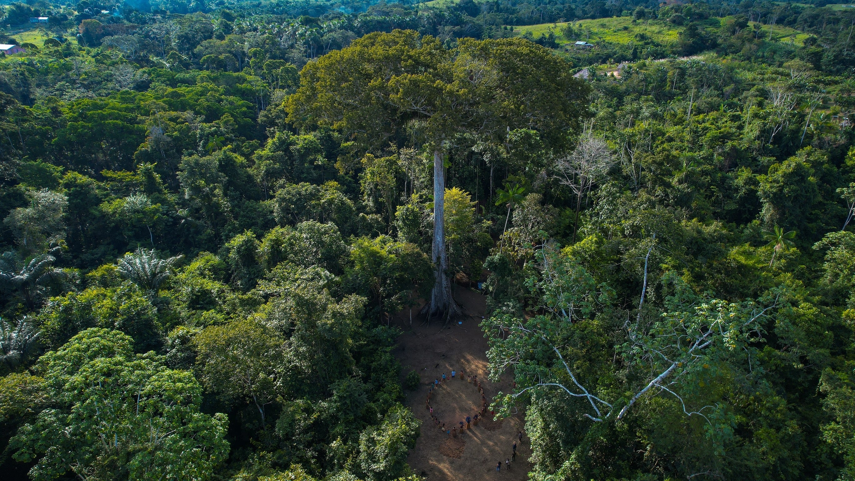Nukini Tribe - Katukina.US