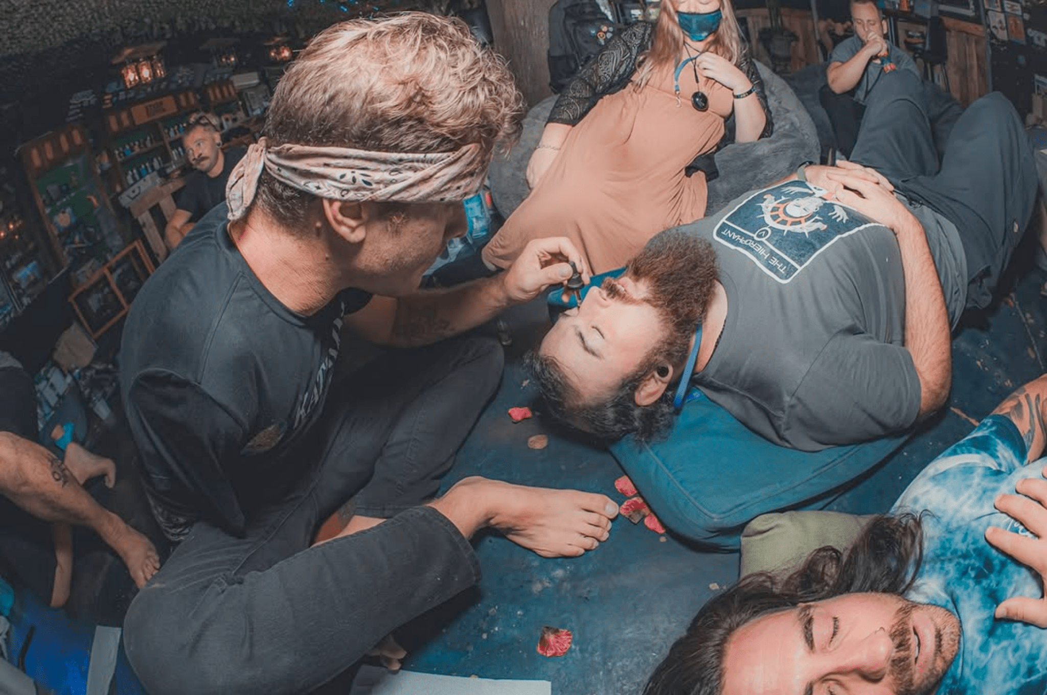 Plant Allies - Best Seller - Katukina.US