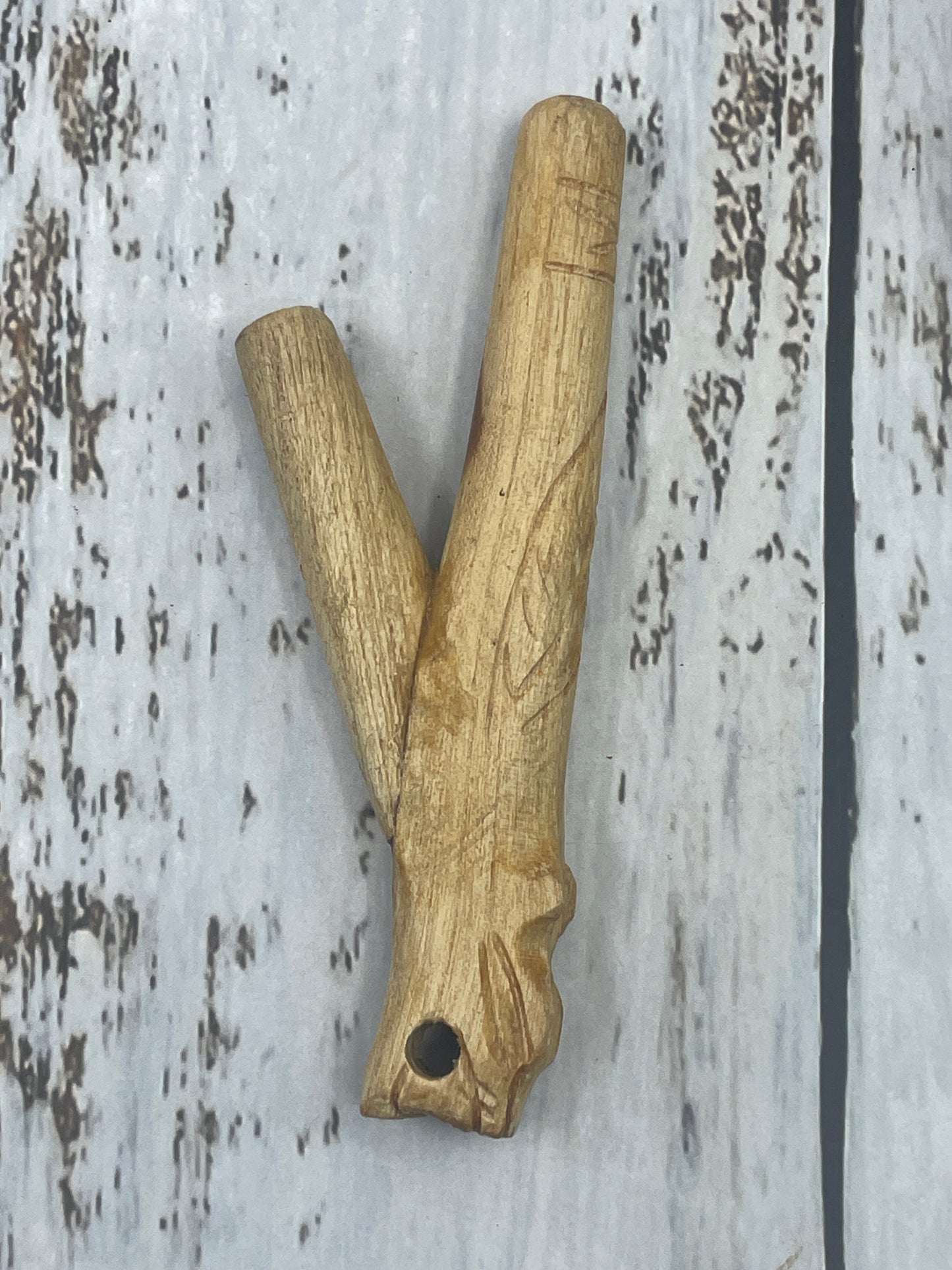 Jaguar Palo Santo Kuripe