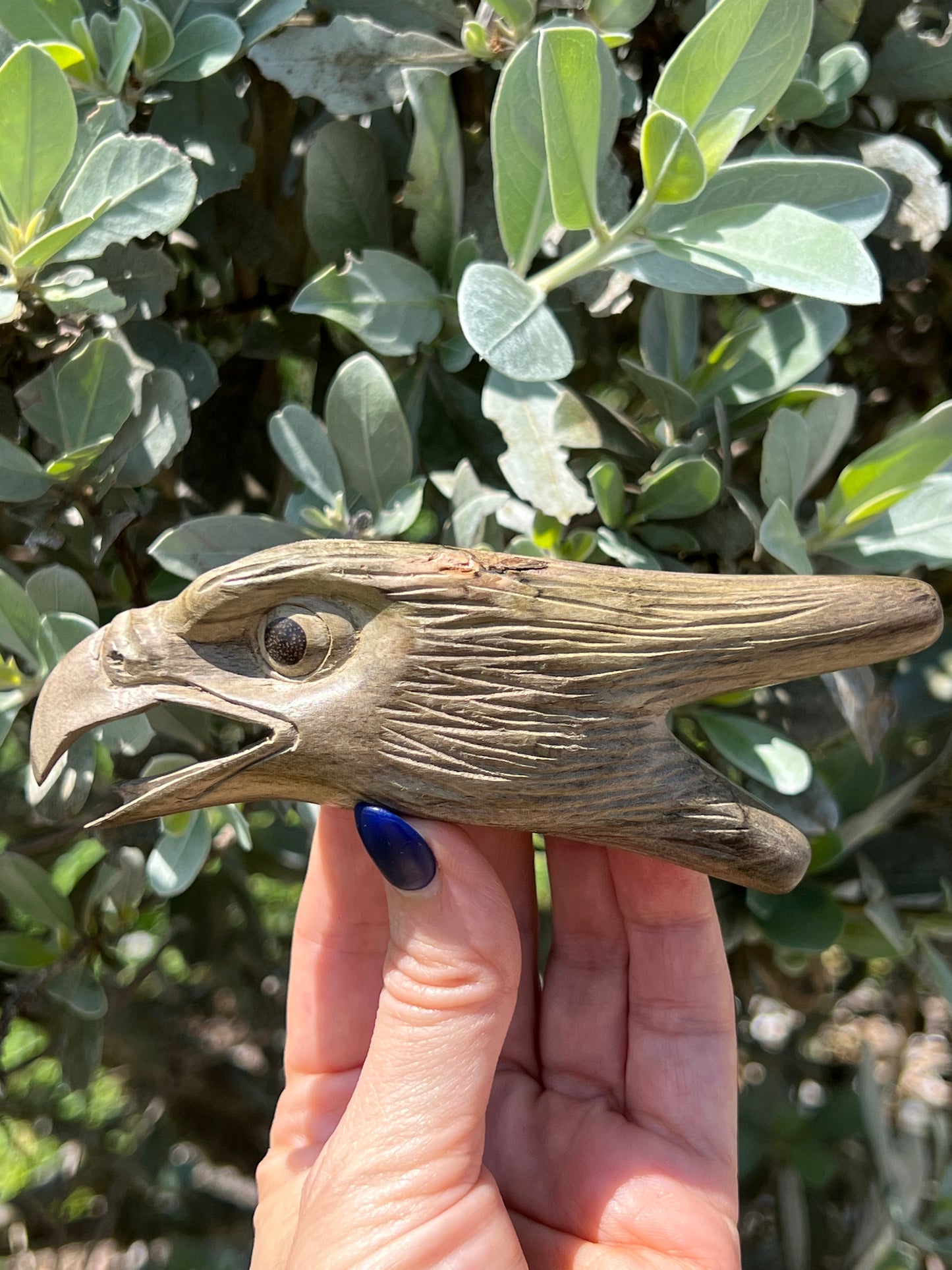 Hand Carved Eagle Head Kuripe