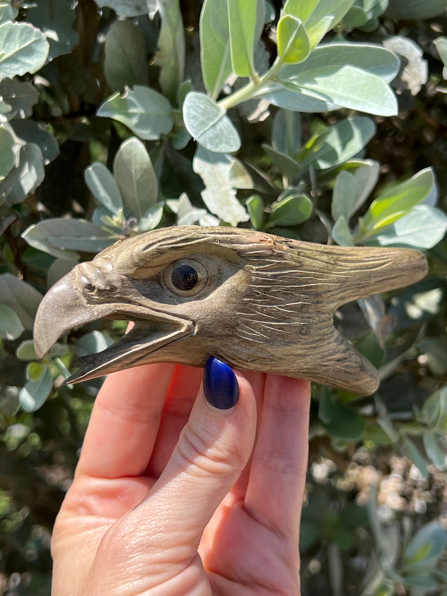 Hand Carved Eagle Head Kuripe