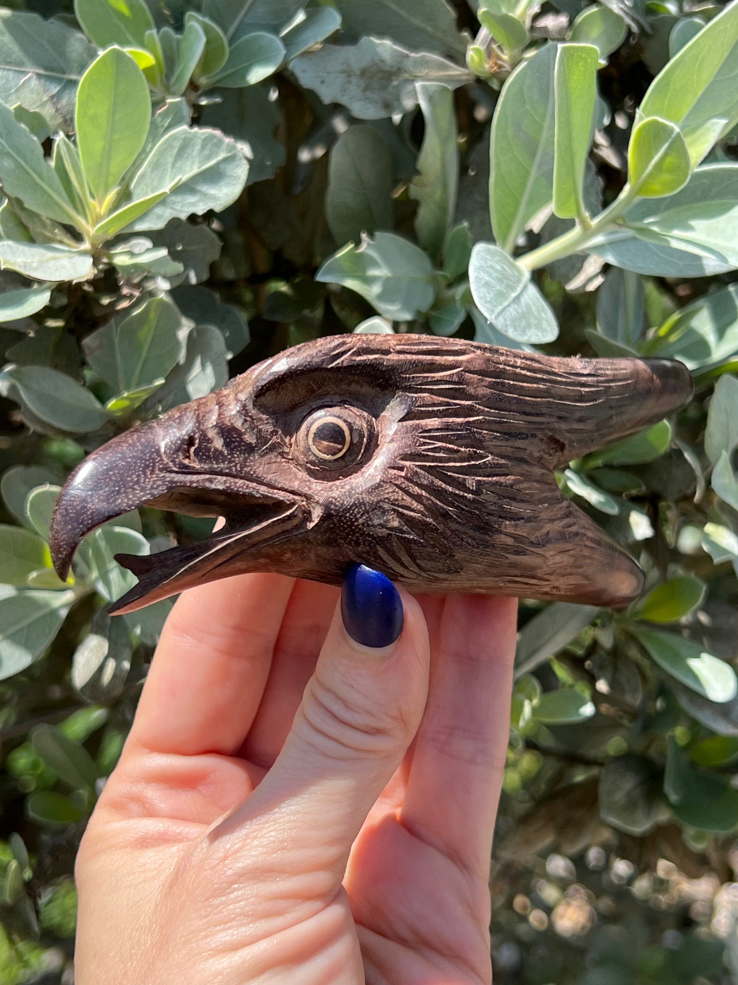 Hand Carved Eagle Head Kuripe