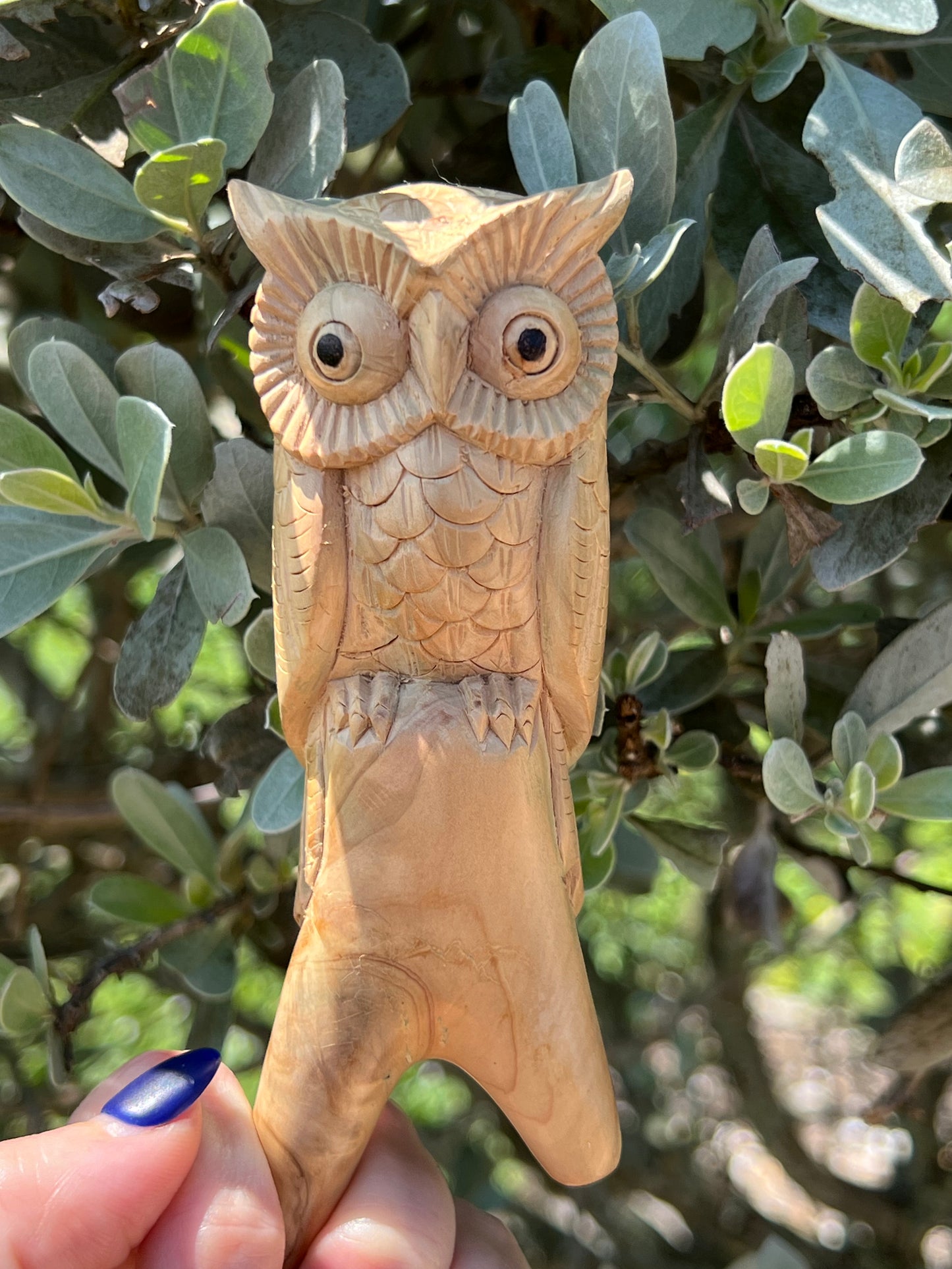 Hand Carved Owl Kuripe