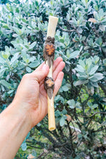 Authentic Bone Tepis - Katukina KAT1748