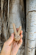 Blooming Flower Kuripe - Katukina KAT1842