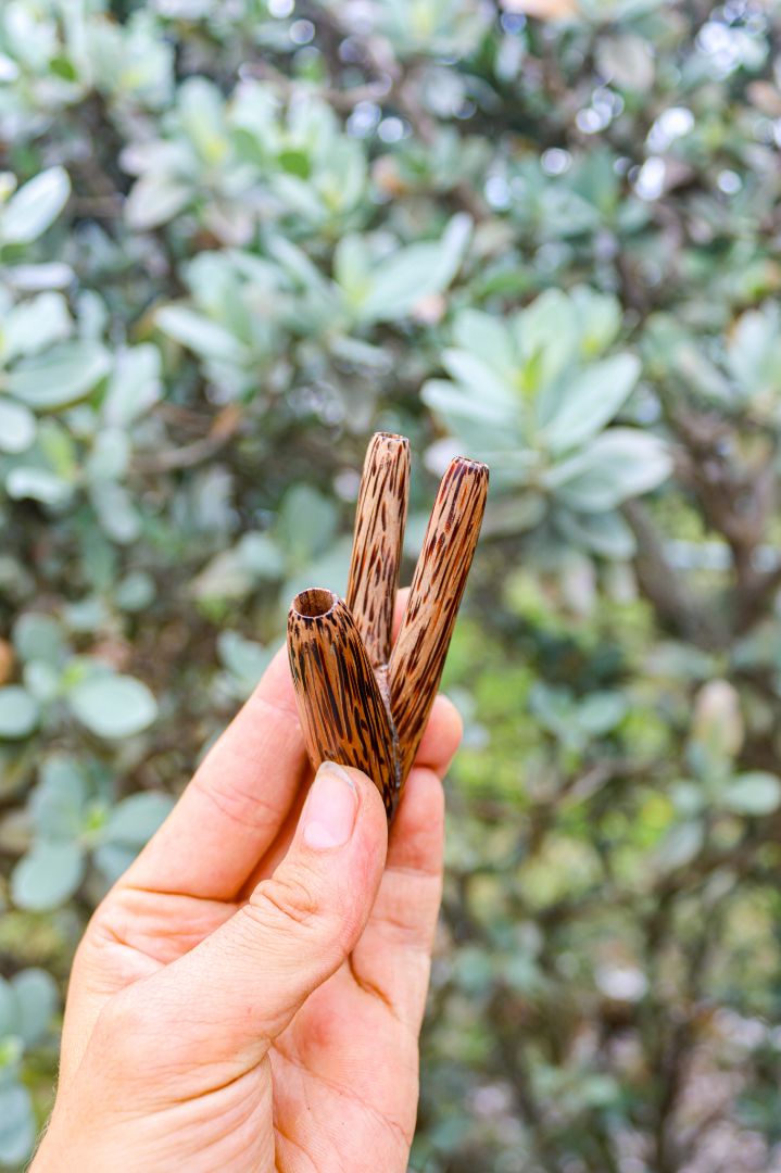 Double Kuripe (Ku3pe) - Katukina KAT1386