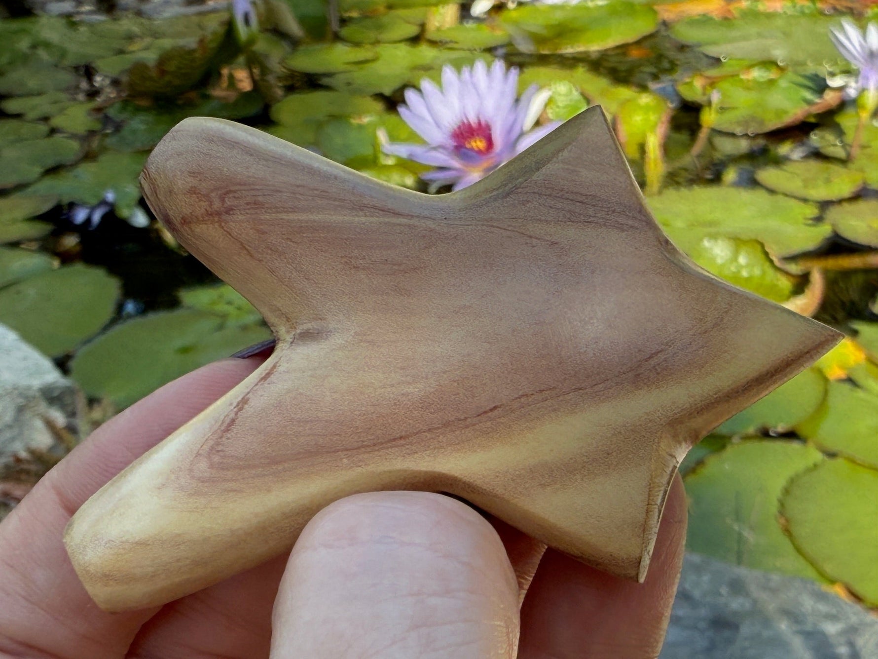 Hand Carved Shooting Star Kuripe - Katukina.US KAT6258