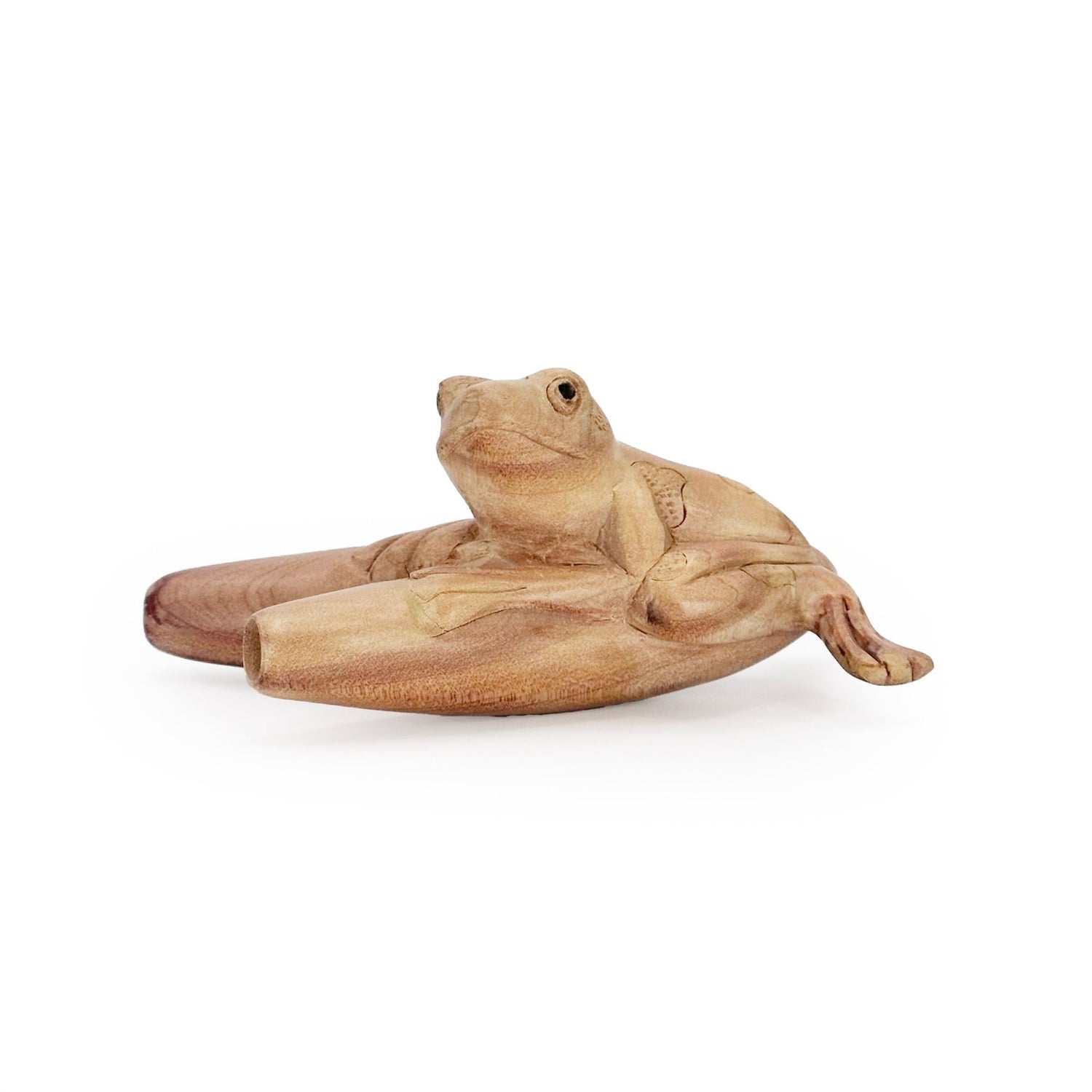 Kambo Frog Kuripe - Katukina KAT1303