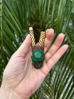 Kupi HuniKui Collection ~ Snake w/Kenes - Katukina.US KAT6700