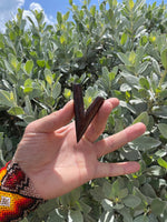 Mini Simple Kuripes - Katukina KAT2038