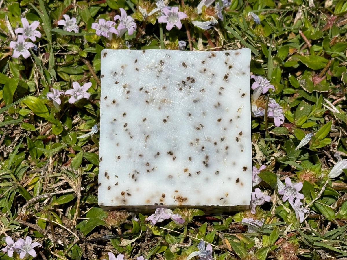 Shi - Tallow Grass Fed Beef Tallow Soap - Katukina.US KAT6279