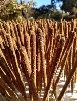 100% Natural Handmade Incense and Resins - Katukina KAT1371